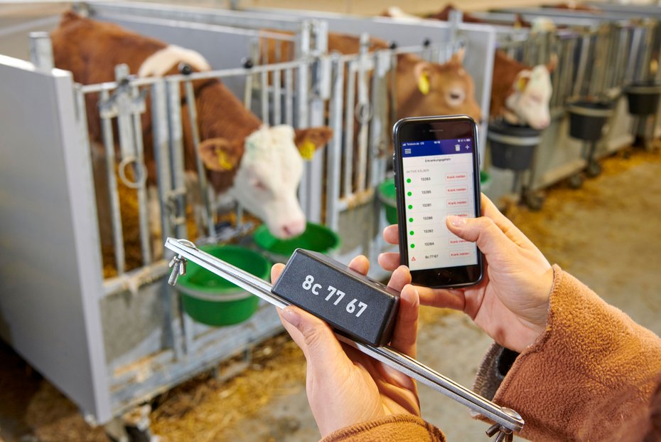 ET Innovation Award in Silber und Animal Welfare Award für Calf Monitoring System 