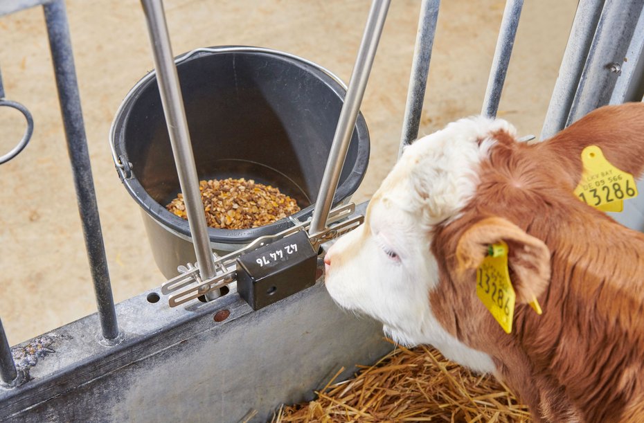 ET Innovation Award in Silber und Animal Welfare Award für Calf Monitoring System 